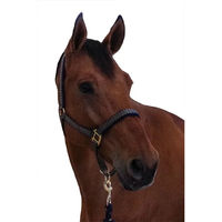 Produktbild von Canter Longe Reiten Schockemöehle Panic Halfter und Stricke Blau für Vollblut