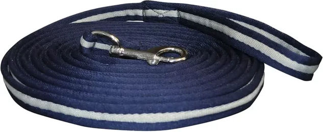 Produktbild von Canter Longe zum Drehen Blau Silber