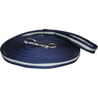 Produktbild von Canter Longe zum Drehen Blau Silber