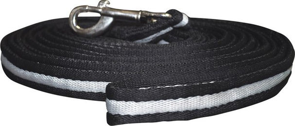 Canter Longe zum Drehen mit Gurtband 8 m in Schwarz und Silber – Bild 1 von 1