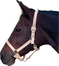 Produktbild von Canter Malibu Pferdehalfter für Ponys in Beige und Rosa