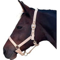 Produktbild von Canter Malibu Pferdehalfter für Ponys in Beige und Rosa