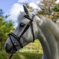 Produktbild von Canter Mylord Leder Reittrense für Pferde und Ponys in Braun oder Schwarz