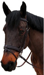 Produktbild von Canter Nino Trense für Ponys in Braun