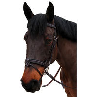 Produktbild von Canter Nino Trense für Ponys in Braun