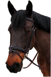 Produktbild von Canter Nino Trense für Ponys in Schwarz