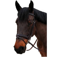 Produktbild von Canter Nino Trense für Ponys in Schwarz
