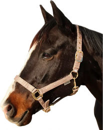 Produktbild von Canter Pferd Halfter aus Nylon in Braun und Beige