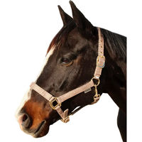 Produktbild von Canter Pferd Halfter aus Nylon in Braun und Beige