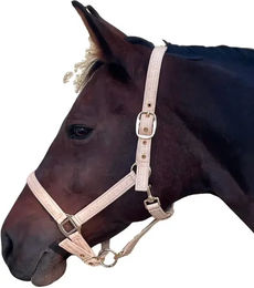 Produktbild von Canter Pferdehalfter Malibu in Rosa und Beige für Ponys