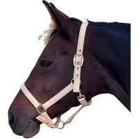 Produktbild von Canter Pferdehalfter Malibu in Rosa und Beige für Ponys