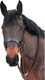 Produktbild von Canter Reittrense aus Leder für Pferde in Braun