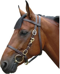 Canter Reittrense Halfter aus Leder in Braun – Bild 1 von 1