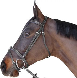 Produktbild von Canter Reitzaum flach unterlegt für Ponys in Schwarz