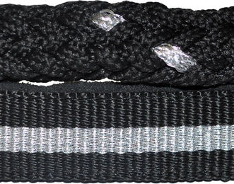 Canter Set aus Halfter und Longiergurt Lurex – Bild 1 von 1