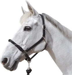 Produktbild von Canter Strickhalfter für Pferde mit weißen Schlaufen