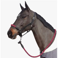 Produktbild von Canter Strickhalfter für Pferde mit weißen Schlaufen und Lederdetails