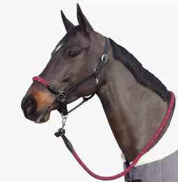 Produktbild von Canter Strickhalfter für Pferde mit weißen Schlaufen und Lederdetails