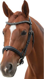 Canter Totalis Trense für Ponys in Schwarz – Bild 1 von 1