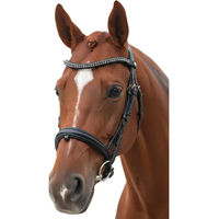 Produktbild von Canter Totalis Trense für Ponys in Schwarz