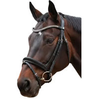 Produktbild von Canter Trense aus Leder für Pferde in Braun oder Schwarz