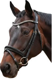 Canter Trense Valegro aus Leder in Schwarz und Silber Full – Bild 1 von 1