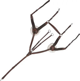 Produktbild von Canter Vorderzeug für Pferde 5 Punkte aus Kunstleder in Braun und Silber