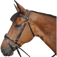 Produktbild von Canter Zaumzeug aus Leder für Ponys in Schwarz und Gold