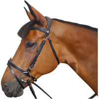 Produktbild von Canter Zaumzeug aus Leder in Rose Gold