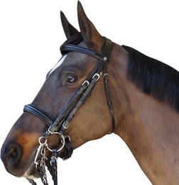 Canter Zaumzeug aus Leder Schwarz – Bild 1 von 1