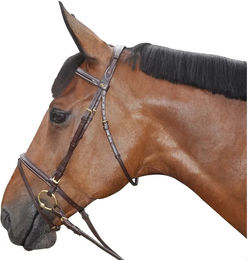 Canter Zaumzeug für Ponys gesteppt kombiniert in Braun – Bild 1 von 2