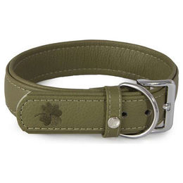 Produktbild von Capers Glückshund Hundehalsband aus Leder in Grün 70 cm