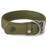 Produktbild von Capers Lederband Hundehalsband Grün 55 cm