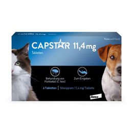 Capstar Tabletten für Katzen und kleine Hunde 6 Stück – Bild 1 von 1