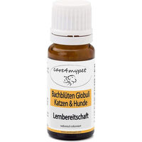 Produktbild von care4mypet Bachblüte Lernbereitschaft Globuli für Katzen und Hunde 10 g