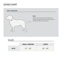 Produktbild von Carhartt Hundehalsband aus Nylon in Bunt, Größe M, wasserabweisend