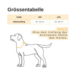 Carhartt Hundehalsband aus Nylon in Orange Größe L – Bild 1 von 5