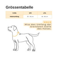 Produktbild von Carhartt Hundehalsband aus Nylon in Orange Größe L