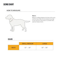 Produktbild von Carhartt Hundehalsband aus Nylon Schwarz Größe M