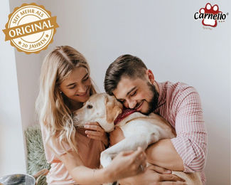 Carnello Hundespaghetti Kausnack Schwein Hypoallergen für Hunde aller Altersstufen 60 g - 2 x 60 g – Bild 1 von 5