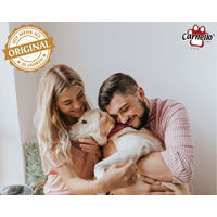Produktbild von Carnello Hundespaghetti Kausnack Schwein Hypoallergen für Hunde aller Altersstufen 60 g - 2 x 60 g