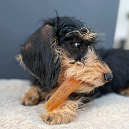 Carnello Welpenkaugummi Hundekausnack mit Huhn getreidefrei 60g - 60 g – Bild 1 von 10