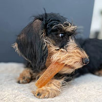 Produktbild von Carnello Welpenkaugummi Hundekausnack mit Huhn getreidefrei 60g - 60 g