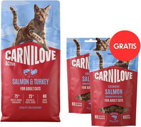 Carnilove Active Trockenfutter Lachs und Pute für adulte Katzen getreidefrei 6 kg mit Crunchy Snack Salmon 2x50 g – Bild 1 von 1