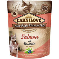 Produktbild von Carnilove Hund Nassfutter Paté Lachs mit Blaubeeren für Welpen 12 x 300 g getreidefrei - 12 x 300 g