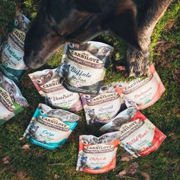 Carnilove Hundefutter Paté mit Strauß und Brombeeren Adult getreidefrei 300g - 12 x 300 g – Bild 1 von 6