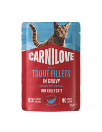 Carnilove Katzennassfutter Forelle mit Echinacea Stückchen in Sauce 85g – Bild 1 von 1