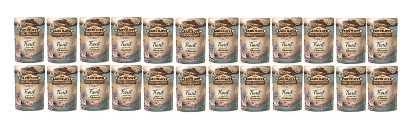 Carnilove Katzennassfutter Forelle und Echinacea Adult Getreidefrei 24 x 85 g - 24 x 85 g – Bild 1 von 4