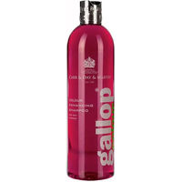 Produktbild von Carr & Day & Martin Shampoo für Pferde Lezans und Bais 500 ml