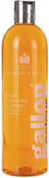 Carr & Day & Martin Shampoo für Pferde mit hellem Fell 500 ml – Bild 1 von 1